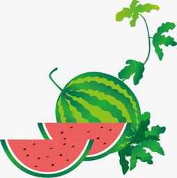 吃瓜娱乐素材下载免费版,轻松打造趣味内容！